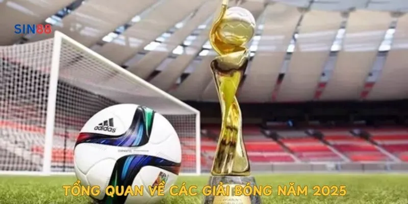 tong-quan-ve-cac-giai-bong-nam-2025